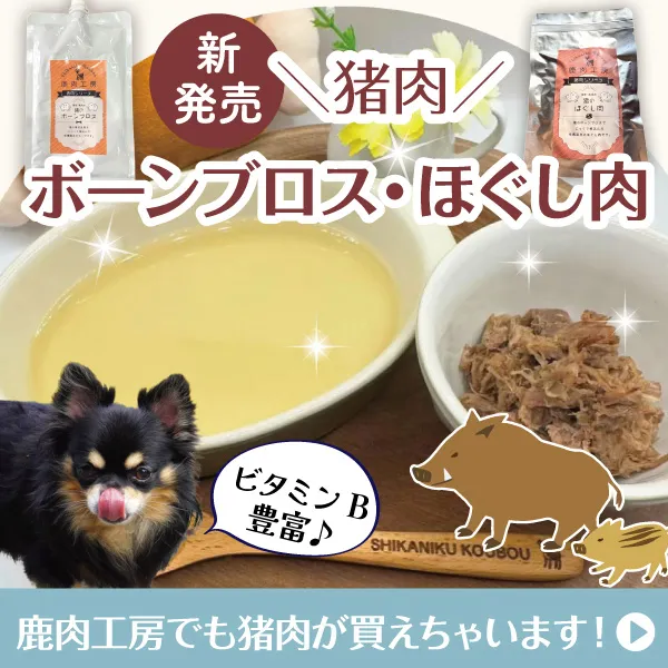 ¤¤¤Ä¤â¤Î¼¯Æù¤Ë¤Á¤ç¤Ã¤ÈÊѲ½¤ò¡£¼¯Æù¹©Ë¼¤ÎÃöÆù¡¢ÈÎÇ䳫»Ï¡ª¡ÚÃö¤Î¥Ü¡¼¥ó¥Ö¥í¥¹160ml¡Û¡ÚÃö¤Î¤Û¤°¤·Æù100g ¡Û