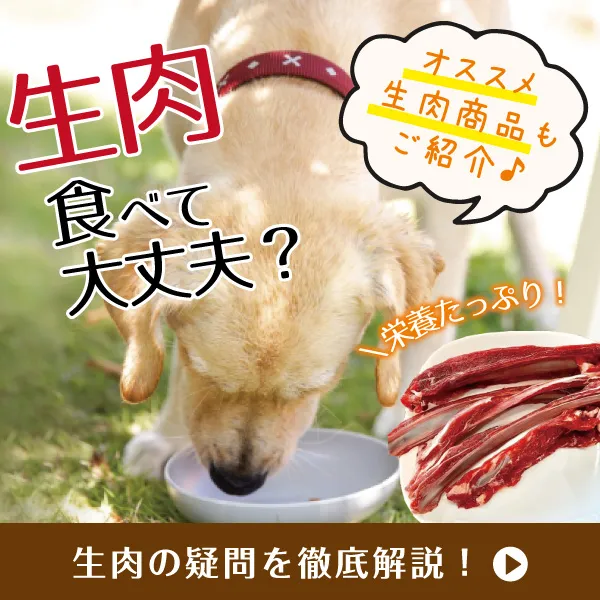 À¸Æù¿©¤Ù¤ÆÂç¾æÉס©À¸Æù¤Îµ¿Ìä¤òŰÄì²òÀâ