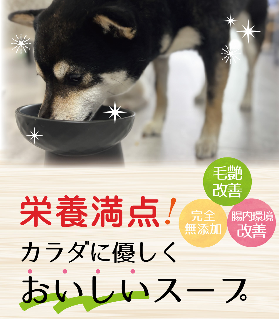 ���� �ܥ�ȥ饤�ץ�������å�