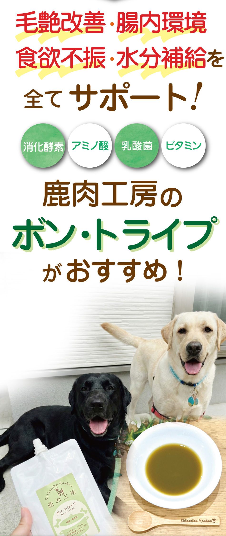 ������˼�Υܥ�ȥ饤��