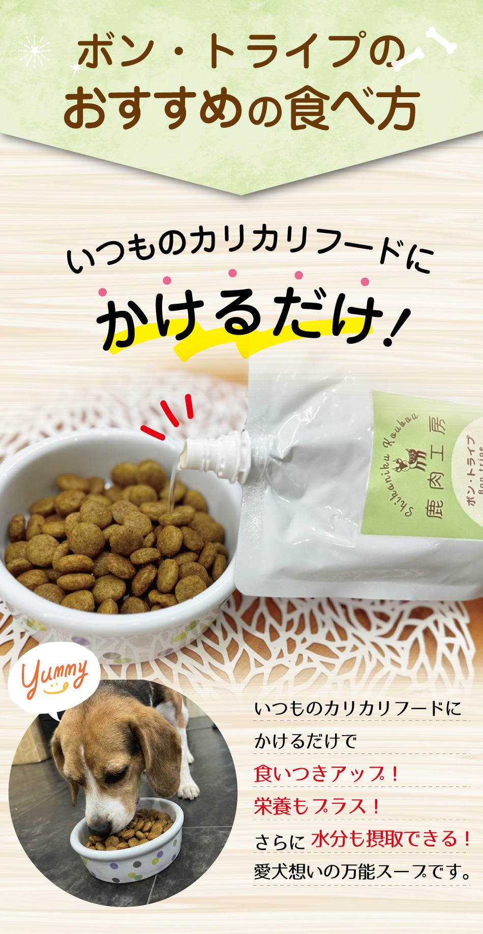 �ܥ�ȥ饤�ס���������������