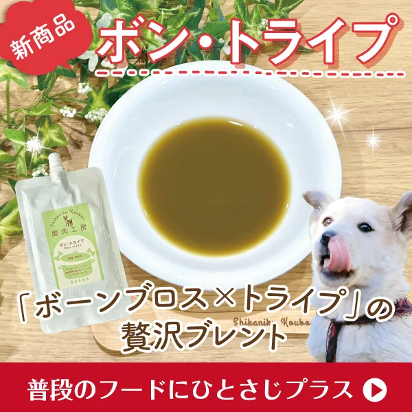 ¡Ö¥Ü¡¼¥ó¥Ö¥í¥¹¡ß¥È¥é¥¤¥×¡×¤ÎìÔÂô¥Ö¥ì¥ó¥È¡Ö¥Ü¥ó¡¦¥È¥é¥¤¥×¡×¿·È¯Çä¤Ç¤¹¡ª