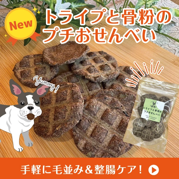 Âç¿Íµ¤¤Î¹üÊ´¤ª¤»¤ó¤Ù¤¤¤Ë¡¢¿·¥·¥ê¡¼¥º¤¬Åо졪¡Ú¥È¥é¥¤¥×¤È¹üÊ´¤Î¥×¥Á¤ª¤»¤ó¤Ù¤¤¡Û