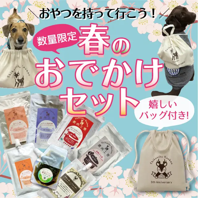 �դΤ��Ǥ������å����䳫�ϡ�