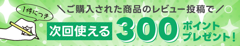 ���������줿���ʤΥ�ӥ塼��Ƥ�300�ݥ���ȥץ쥼���