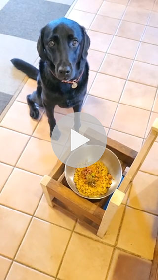 鹿 ドライトライプ 20g【常温】 犬用 - 国産鹿肉 ドックフードと犬用