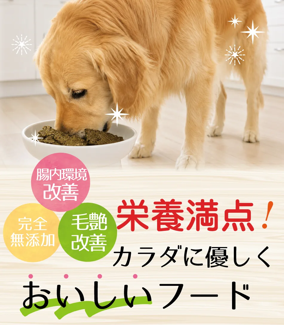 ���� �ɥ饤�ȥ饤�ץ�������å�
