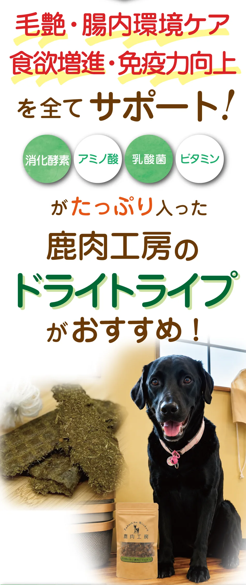 ������˼�Υɥ饤�ȥ饤��