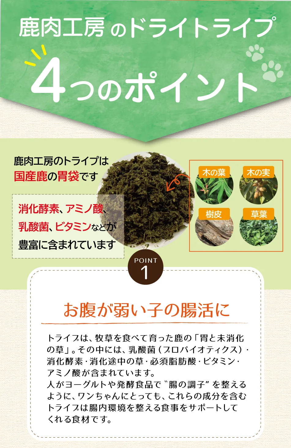 ���������ɥ饤�ȥ饤��