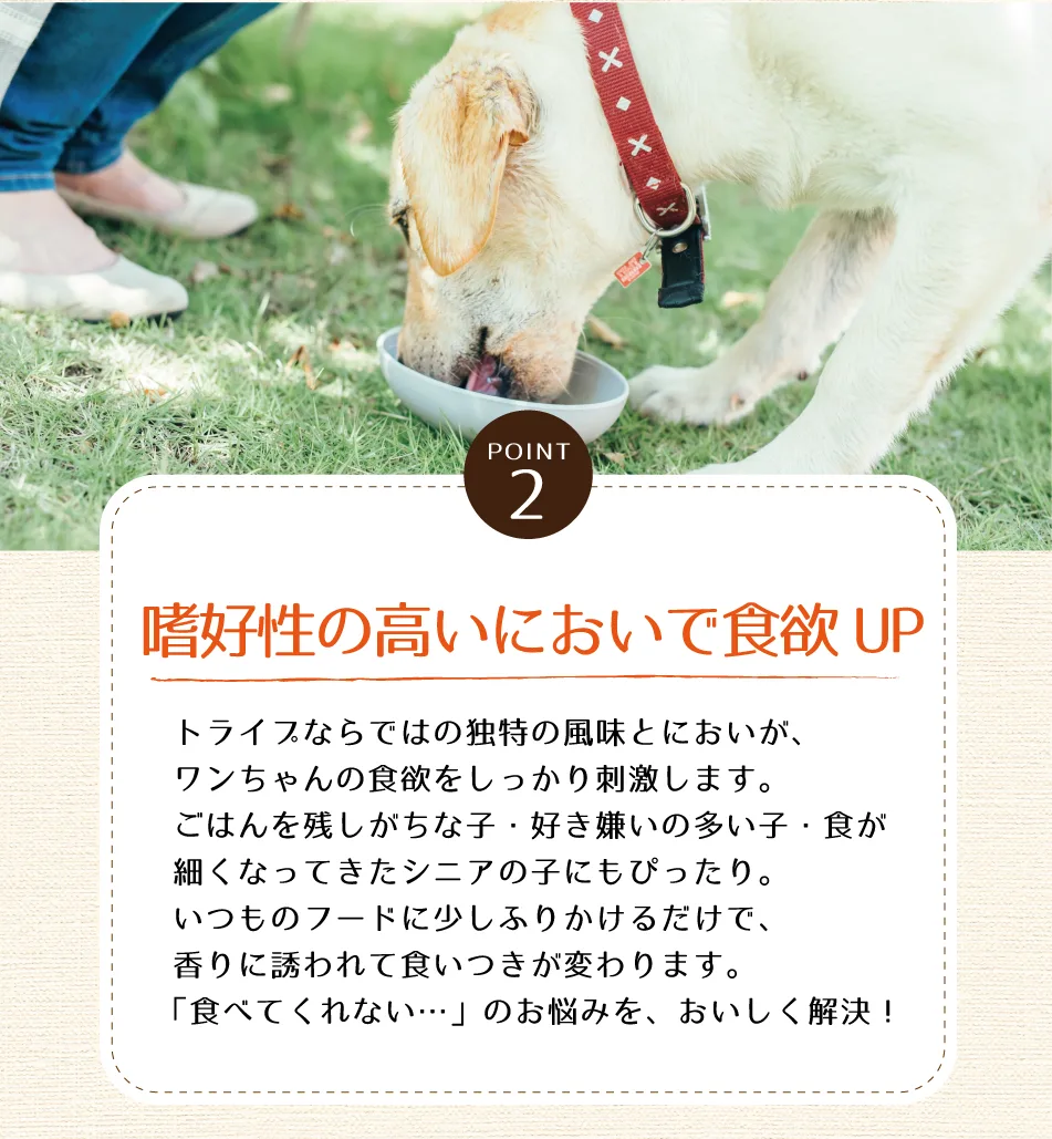 �ɥ饤�ȥ饤�פǱ������