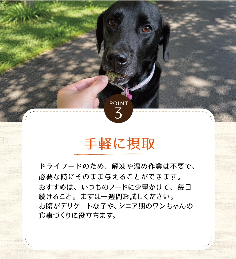 �ɥ饤�ȥ饤�פ��ڤ˥����