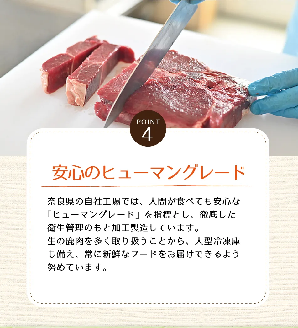 �����ɥ饤�ȥ饤�ס� �ҥ塼�ޥ󥰥졼��