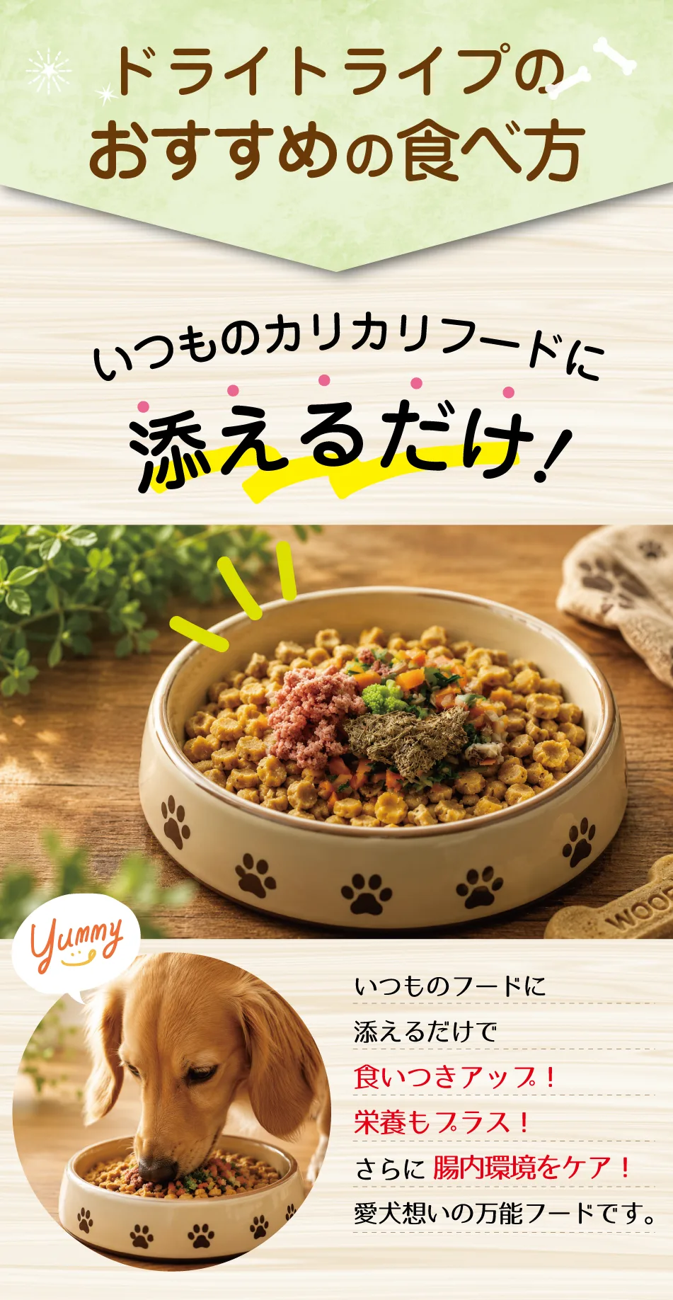 �ɥ饤�ȥ饤�� ��������������