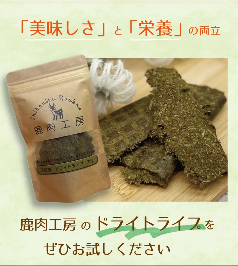 ��̣�����ȱ��ܤ�ξΩ �ɥ饤�ȥ饤��