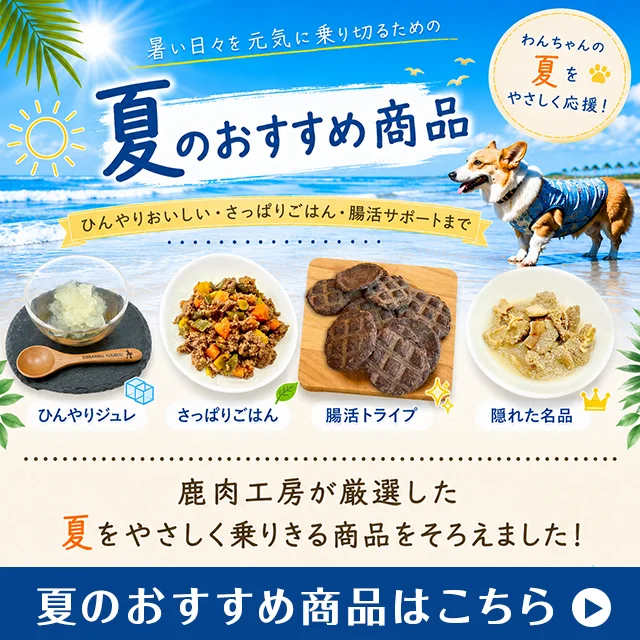 �����Ƥ��꤭�뤿��μ�����˼�������ƤΤ������ᾦ��