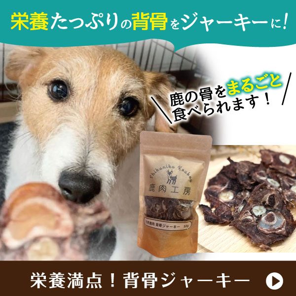 鹿肉 背骨 ジャーキー