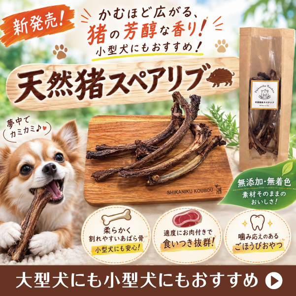 かむほど広がる、猪の芳醇な香り!猪肉のスペアリブ