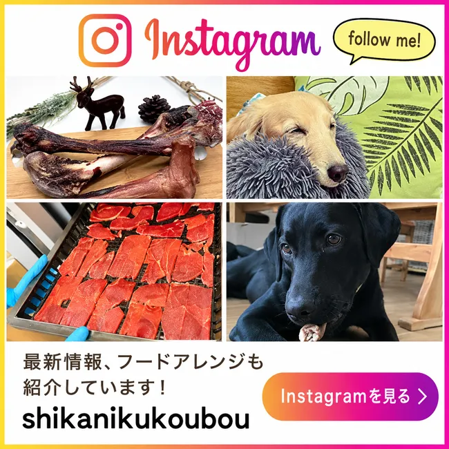鹿肉工房 インスタグラム
